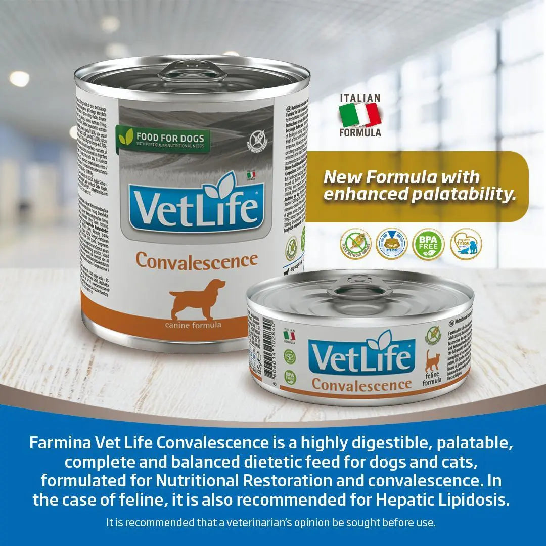 Farmina vetlife Convalescence wet dog food 300g pack of 6 Amanpetshop