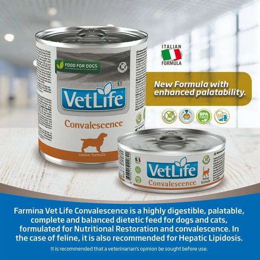 Farmina vetlife Convalescence wet dog food 300g pack of 6 Amanpetshop
