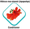 Himalaya Erina Puppy Shampoo & Conditioner, 200 ml, Pack of 1 Amanpetshop-