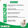 IAMS Proactive Health Adult Labrador Retriever Dogs (1.5+ Years) Super Premium Dog Food, 10Kg Pack Amanpetshop