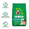 IAMS Proactive Health Adult Large Breed Dogs (1.5+ Years) Dry Dog Food, 8 kg Pack IAMS