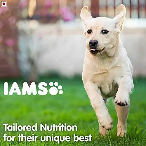 IAMS Proactive Health Smart Puppy Large Breed Dogs 2 Years Dry Dog Food 3 kg