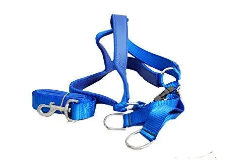 Jacky Treats Dog Body Belt Set 1 inch (Colour May Vary) JACKY TREATS