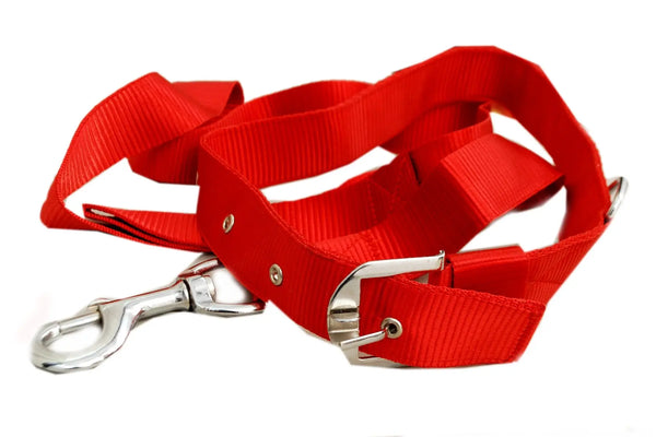 Jacky Treats Dog Collar and Leash Set 1 inch (Colour May Vary) Amanpetshop-