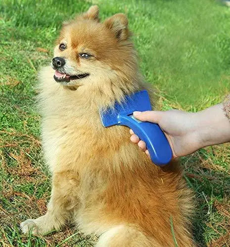 Jacky Treats Dog Plastic Slicker Brush with Press Key -Big Slicker Brushes for Dog & Cat Amanpetshop