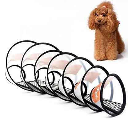 Jacky Treats Pet Cone Elizabeth Collar NO.1 for Dogs (Extra Extra Large Size) Amanpetshop-
