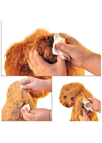 Jacky Treats Super Bath Wipe (Pack of 100) Amanpetshop