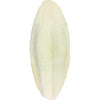 Jacky TreatsCuttlefish Bone Mineral Stone White -100 gm Amanpetshop