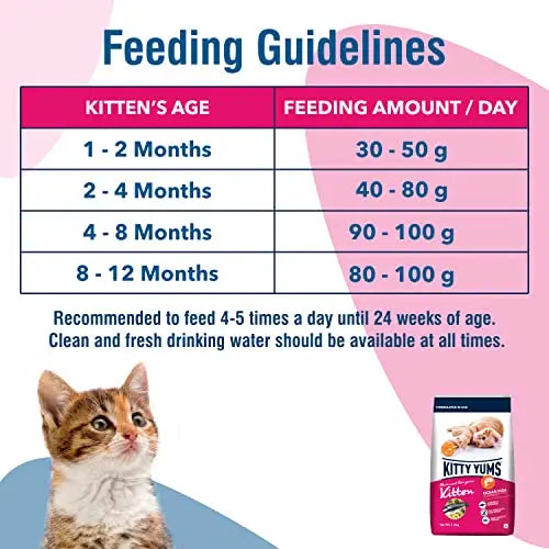 Kitty Yums Kitten 1 12 Months Dry Cat Food Ocean Fish 1.2kg