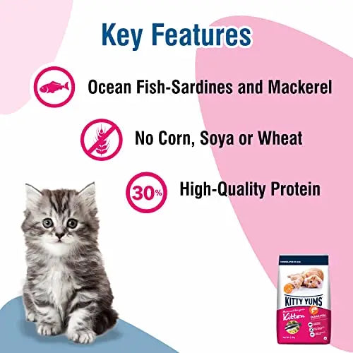 Kitty Yums Kitten(1-12 Months) Dry Cat Food, Ocean Fish, 1.2kg Amanpetshop