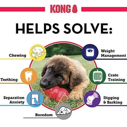 Kong Medium Extreme Dog Toy KONG