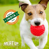 Meat Up Non-Toxic Rubber Stud Spike Hard Ball Chew Toy, Puppy/Dog Teething Toy - 3 inches Meat Up