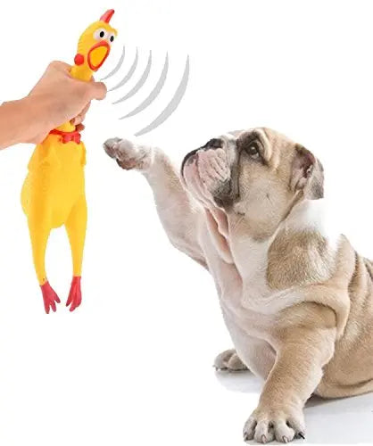 PSK Jumbo Size Natural Rubber Squeaky Chew Chicken Toy for Dog Large Size PSK