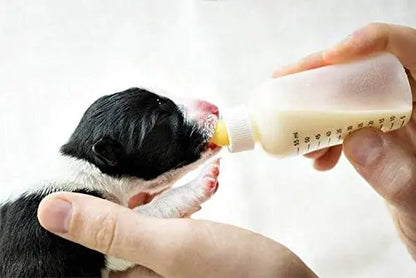 PSK Pet Nursing Kit Milk Bottle 150 ml with Extra Nipple, Bottle Cleaner & Hole Pin- Color May Vary PSK