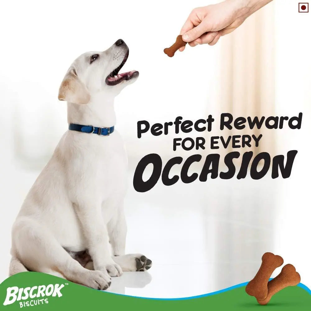 Pedigree Biscrok Biscuits Dog Treats (Above 4 Months), Chicken Flavor, 500g (pack of 2) Amanpetshop