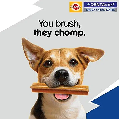 Pedigree Dentastix, Oral Care Dog Treat for Adult Small Breed (5-10kg) Dogs - 110 g Weekly Pack (7 Sticks) Pack of 4 Amanpetshop-