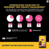 Pedigree PRO Expert Nutrition Large Breed Puppy (3-18 Months), Dry Dog Food, 10kg Pack Flavour : chicken aman