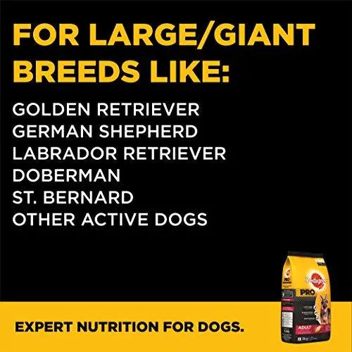 Pedigree PRO Expert Nutrition, Dry Dog Food for Active Adult Dogs (18 Months Onwards) - 3 kg Pack Amanpetshop-