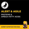 Pedigree PRO Expert Nutrition, Dry Dog Food for Active Adult Dogs (18 Months Onwards) - 3 kg Pack Amanpetshop-