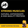 Pedigree PRO Expert Nutrition, Dry Dog Food for Active Adult Dogs (18 Months Onwards) - 3 kg Pack Amanpetshop-
