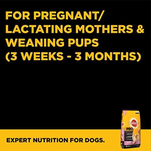 Pedigree Pro Expert Nutrition Dry Food Starter Mother and Pup for Dogs 10 kg