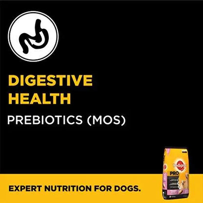 Pedigree Pro Expert Nutrition Dry Food, Starter Mother and Pup for Dogs, 10 kg Amanpetshop-