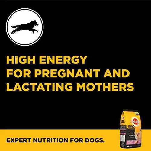 Pedigree Pro Expert Nutrition Dry Food, Starter Mother and Pup for Dogs, Chicken, 3 kg Amanpetshop-