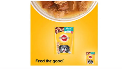 Pedigree Wet Dog Food, Chicken & Liver Chunks for Adult Dogs  80g (Pack of 15) Amanpetshop-