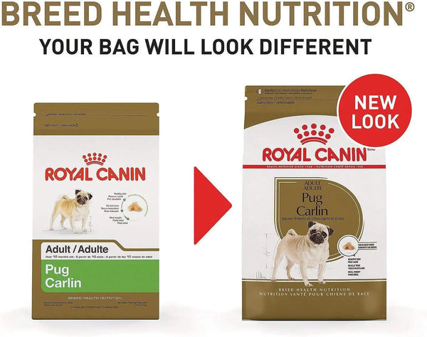 Royal Canin Pug Adult Dry Dog Food, 1.5 kg Amanpetshop