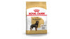 Royal Canin Rottweiler Adult, 3 Kg Amanpetshop-