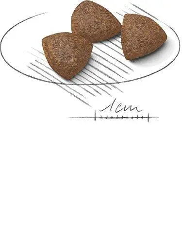 Royal Canin Medium Starter 12 kg