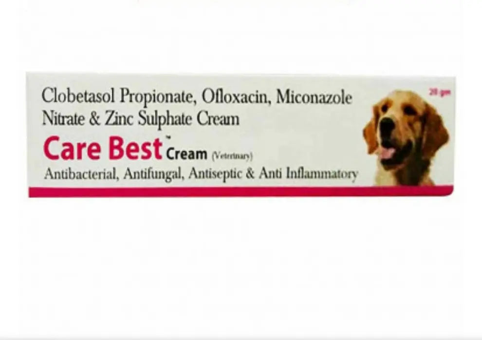 can i use antifungal cream on my dog