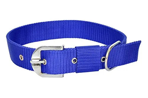 VIP COLLECTION Premium Strong Nylon Everyday Dog Collar Leash Set Color- Blue Large VIP Collection