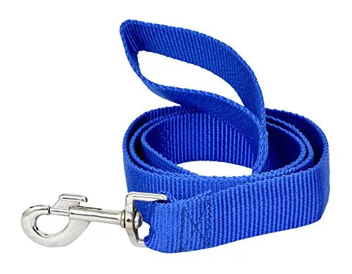 VIP COLLECTION Premium Strong Nylon Everyday Dog Collar Leash Set Color- Blue Large VIP Collection