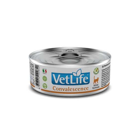 Vet Life Natural Diet Convalescence Cat Wet Food 85 gm pack of 3 Amanpetshop