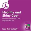 Whiskas Dry Cat Food, Tuna flavour for Adult cats (+1 year)  3 kg Pack Amanpetshop-