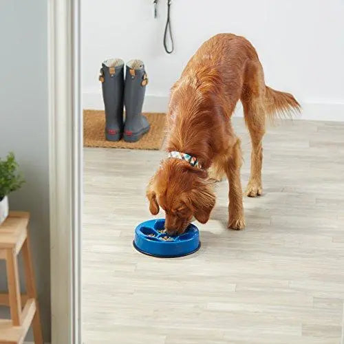adidog Dog Slow Feeder Bowl for Anti-Bloating,Soccer ball-Blue AmazonBasics