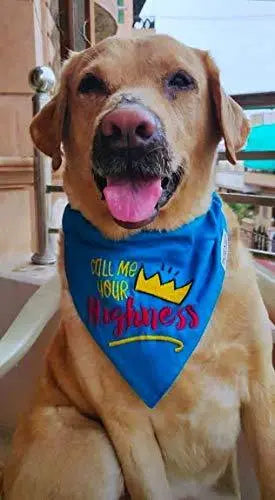 adidog Tuxedo Call me Your Highness Dog Bandana with Adjustable Collar (Blue, Medium and Large) That Dog In Tuxedo