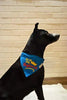 adidog Tuxedo Call me Your Highness Dog Bandana with Adjustable Collar (Blue, Medium and Large) That Dog In Tuxedo