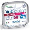 all4pets Vet Solution Canine - Recovery-150gms(Dietetic Food for Dogs) all4pets