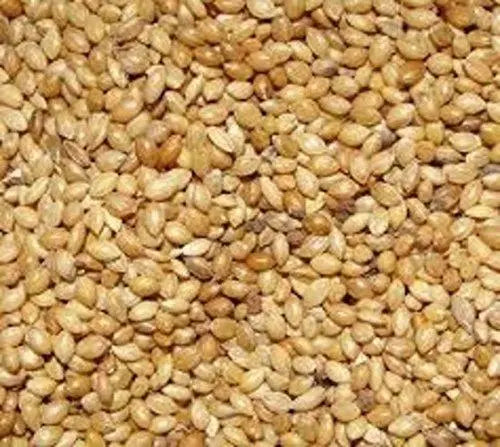 jacky trets Yellow Millet Bird Food for Small Birds 900g Amanpetshop